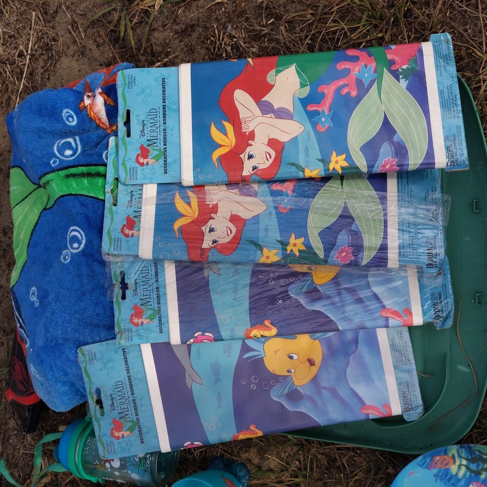 Disney Little Mermaid decorative boarders